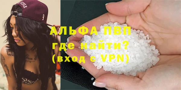 гашик Нефтекумск