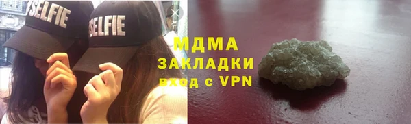 шишки Ельня